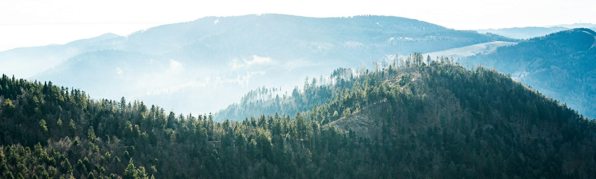 Schwarzwald Berglandschaft mit sanften Hügeln und bewaldeten Flanken im Morgennebel.